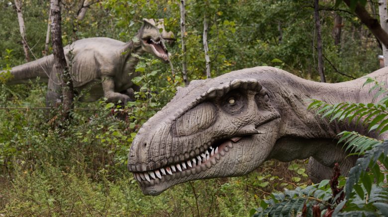 ap385185390875-e1468511684813