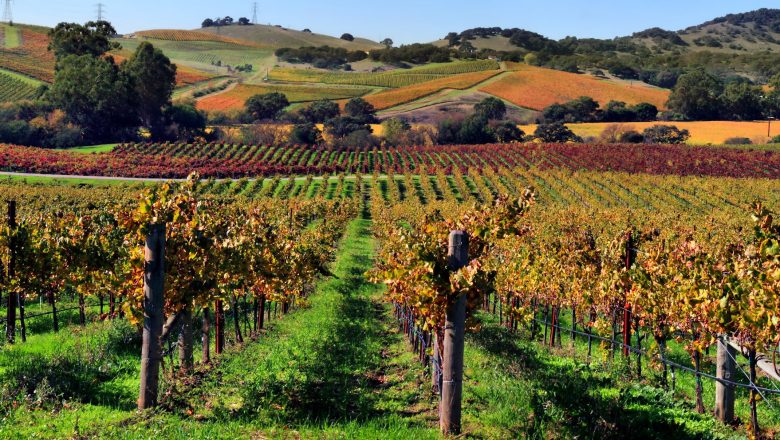 napa_valley-e1470241698867