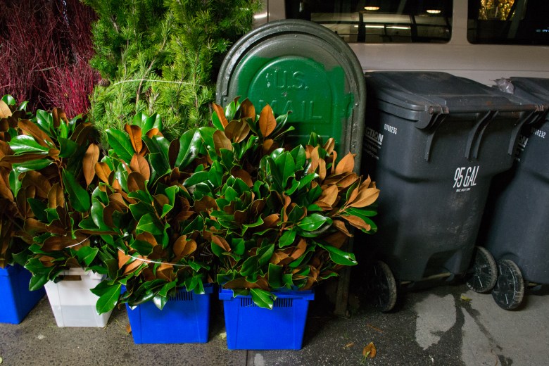 Plants on display on the sidewalk in front of Empire Cut Flower.