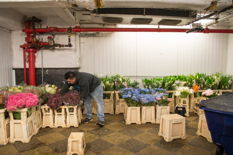 Manny, breaking down the day's display. Manny has worked at DHL for 16 years.