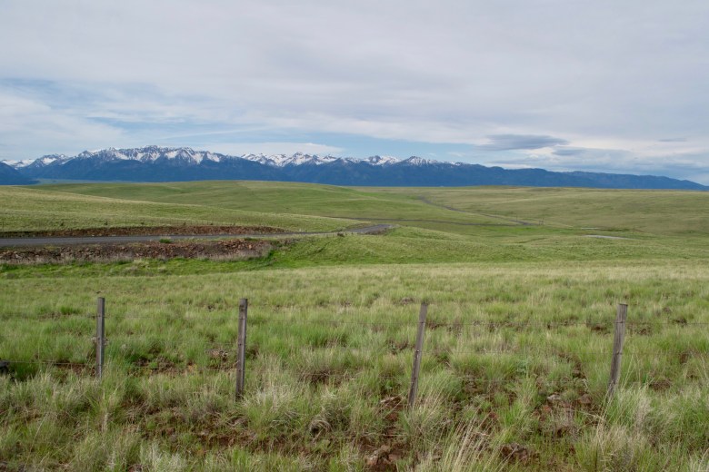 20970949571_c0d29c7d3c_o